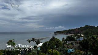 Nature Rain Sounds: Tropical Rain in Koh Phangan Thailand | Sounds for Sleep