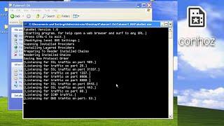 Reverse Engineering a Windows XP NET Worm