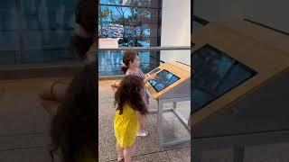 Сколько стоит поход в музей в США на семью из 4 человек| Museum of Science