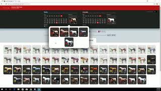 Black Desert - Horse Breeding: Color Theory and Breeding Outcomes