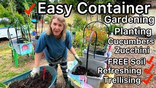 Growing Cucumbers in Container Gardening EASY Trellis, Fix Used Soil, Gardening Tips for Beginners