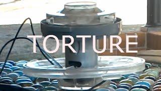 Vacuum Motor Torture Test