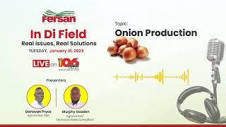 Onion Production  |  Fersan in di Field on Power106FM