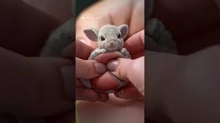 The baby is rabbit #shorts #viralshorts #ytshorts #animals #ai #cartoon