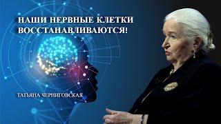 Нервные клетки – восстанавливаются. Татьяна Черниговская