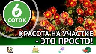 Красота на участке - это просто! 6 соток 04.11.2024