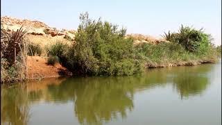 Safaris nature, au coeur du parc national de Souss Massa fatima boualim