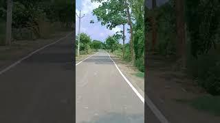 Village Life Vlog️ | गांव के रास्ते️ #youtubevideo #vlog #youtubevideo #youtubeshorts #ytshorts