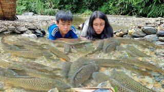 How to arrange rocks to trap stream fish of 2 orphans homeless - Catch giant carp for sale