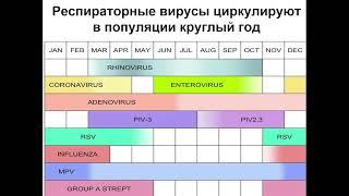 9:50-11:20 ОРВИ, Грипп у детей