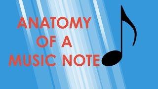 Anatomy of a Music Note - Music Theory Crash Course