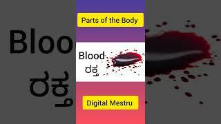 Parts of the Body l #partsofthebody #english #vocabulary #vocabulary #learnenglish #fluentenglish