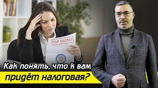 Налоговая скоро нагрянет — что делать? / Критерии проверки компаний ФНС