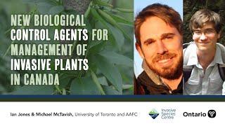 New Biological Control Agents for Management of Invasive Plants in Canada