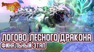 Гайд на Лесного Дракона • Финальный Этап [New Dragon Nest]