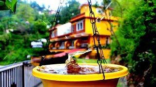 Nirvana Holiday Apartment, Mussoorie, India