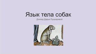 Язык тела собак