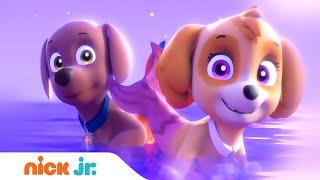 Щенячий патруль | Щенки спасают рыбопса | Nick Jr. Россия