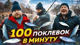 БЕШЕННАЯ УКЛЕЙКА КЛЮЁТ НА ВСЁ. Рыбалка по открытой воде