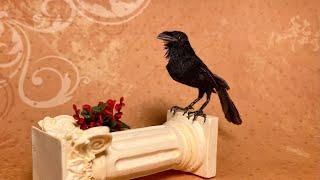 Dollhouse Miniature Raven bird sculpting / How I sculpt realistic polymer clay bird   - Part 1