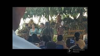 #Viral Pernikahan Raja Lewa Paku Umbu Mbora dan Rambu Randa dalam Budaya Sumba  #Sumba #lewa  #ntt