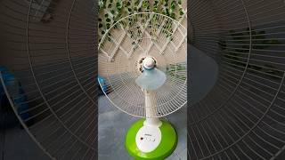 Fan | Unique Propeller #shorts #fan #funny #kipasangin