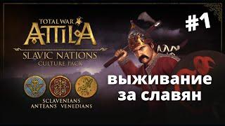 Выживание за Славян в Total War: Attila (часть 1)