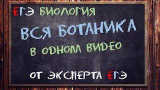 Вся ботаника ЕГЭ тут от эксперта ЕГЭ | Биология ЕГЭ