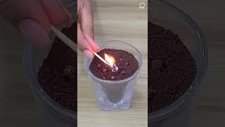 Flies and mosquitoes will flee from your house with this easy homemade recipe