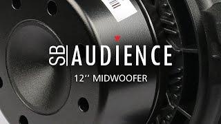 NERO-12MWN400D, 12 inch Midwoofer, SB Audience Product Video