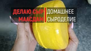 Мой первый СЫР МААСДАМ *  Как приготовить в домашних условиях/ Home Maasdam