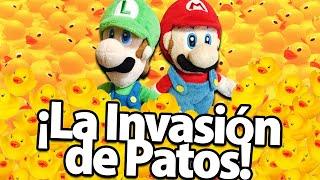 ¡La Invasión de Patos! - CMB en Español