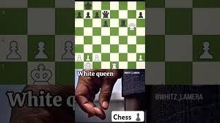 brilliant queen sacrifice..  if you swip⬆️chess ️ is not for you#chess#carlsen#rook#chessplayer