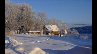 Утренняя прогулка, зимняя сказка.Белочки .