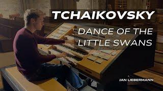 Tchaikovsky - Swan Lake: Dance of the Little Swans | Arr. for Organ