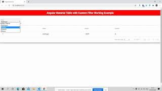 Angular Material Table with Custom Filters
