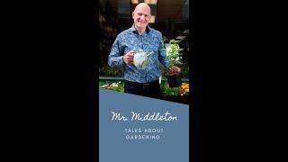 MR MIDDLETON TALKS ABOUT GARDENING | 001 | SLUG DEFENCE