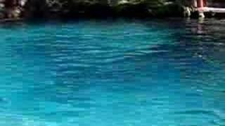 Clear water at Juniper Springs, Ocala Florida