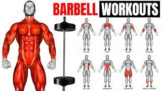 The Smartest Barbell Workout Plan (Fully Explained)