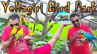 Yellagiri Bird Park - பறவை மனிதன் - FunderaPark