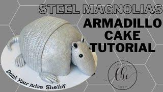 How to make the STEEL MAGNOLIAS ARMADILLO cake!! | Full step by step tutorial!