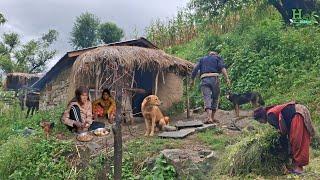 This is Himalayan Very Peaceful And Relaxing Village Life of Nepal | Organic Food Cooking in Village