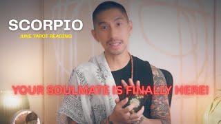 SCORPIO   YOU ARE MEANT TO BE!!! JUNE TAROT CARD READING