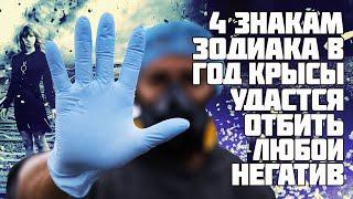 В год Крысы 4 знака Зодиака сумеют отразить любой негатив