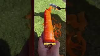 Секретный способ использовать ложку