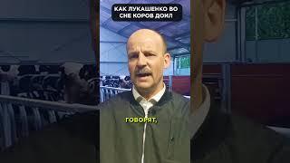 ЛУКАШЕНКО: "Я коров всю ночь ДОЮ"  #shorts