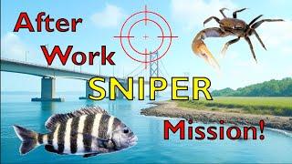 Hunting Down Sheepshead In My Kayak Under a New Jersey Bridge
