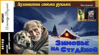 Д. Мамин-Сибиряк. Зимовье на Студёной (без муз) - чит. Александр Водяной