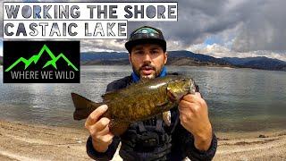 WORKING THE SHORE - Castaic Lake Fishing