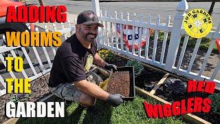 Adding Worms To The Garden